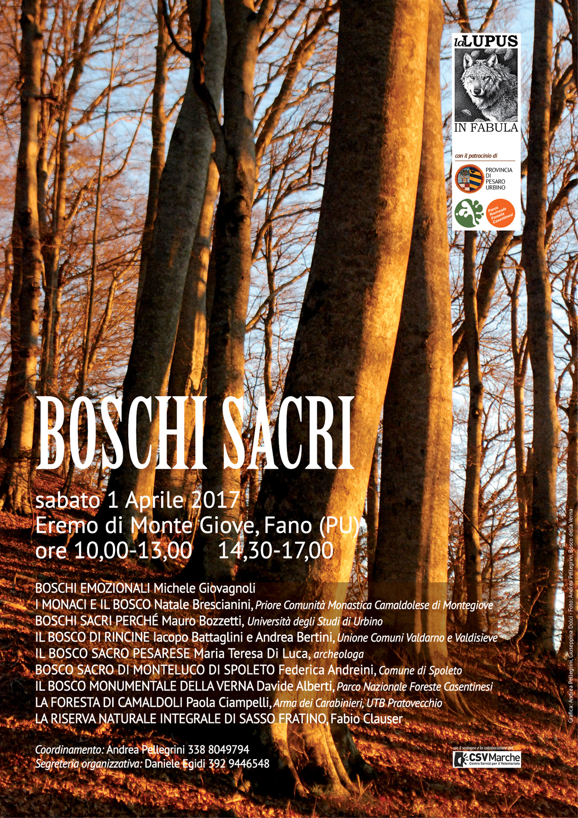 Boschi Sacri  Parco Nazionale Foreste Casentinesi